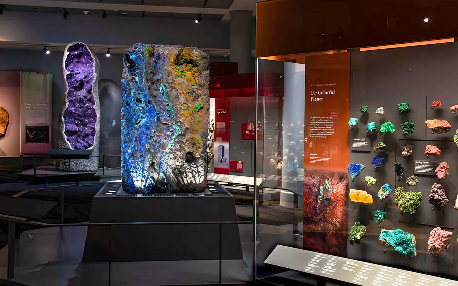 American Museum of Natural History Tickets - image 8