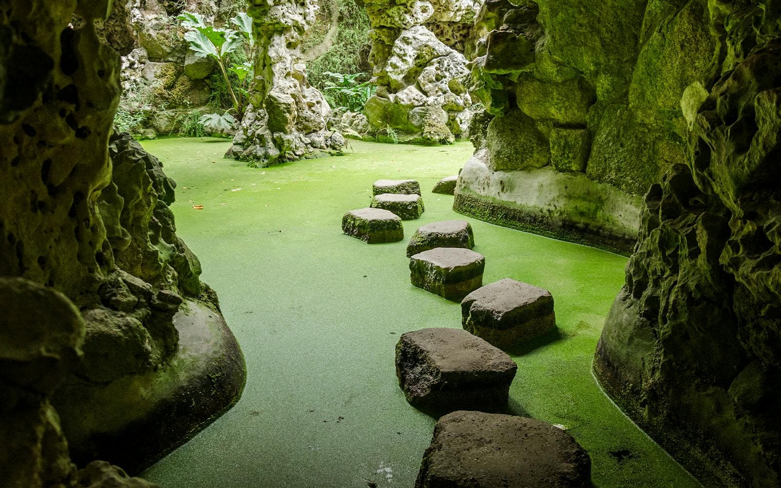 Billets pour la Quinta da Regaleira - image 4