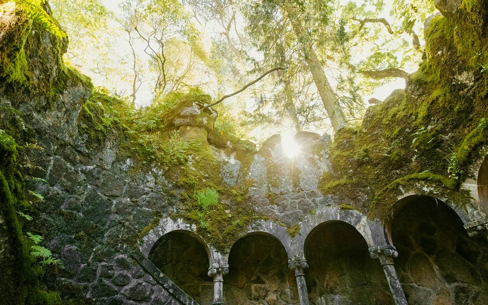 Billets pour la Quinta da Regaleira - image 7