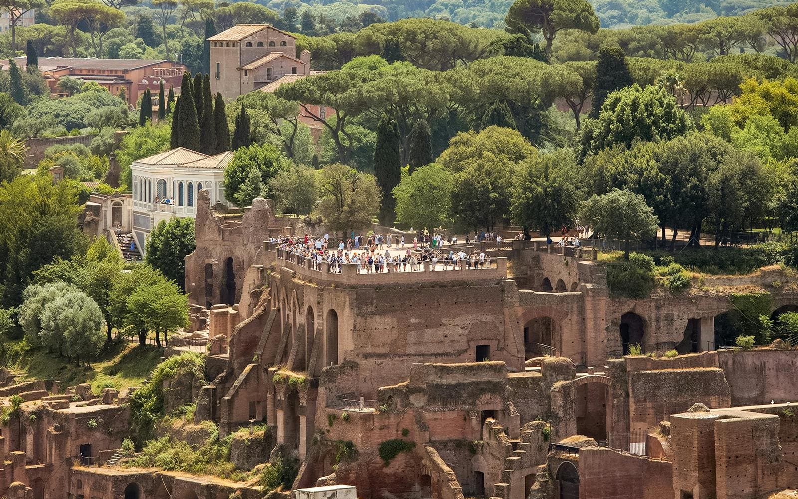 Pass pour le Colisée, le mont Palatin et le Forum romain - image 6