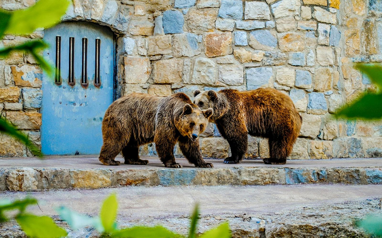 Billets pour le Jardin zoologique - image 2