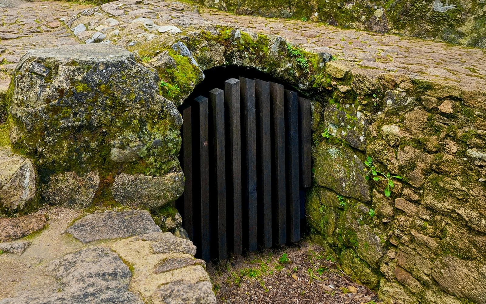 Billets d'entrée au Château des Maures - image 9