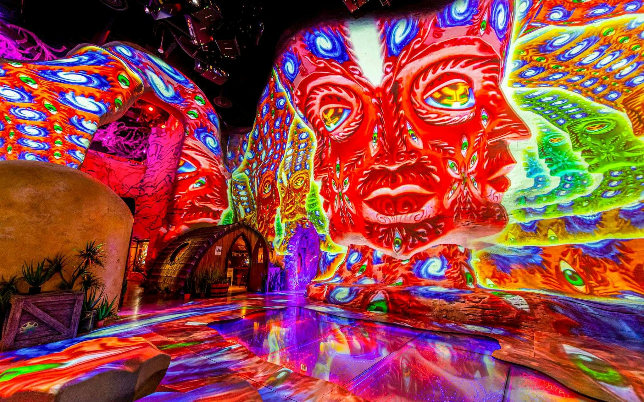 Billet d'admission pour l'Omega Mart de Meow Wolf - image 2