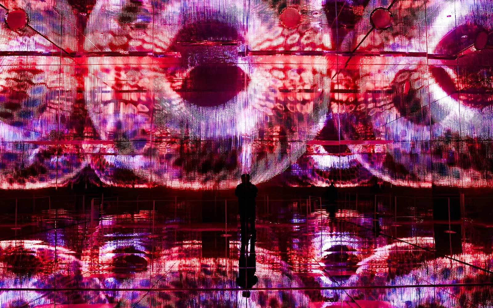 Musée d'art et de technologie Mercer Labs - image 3