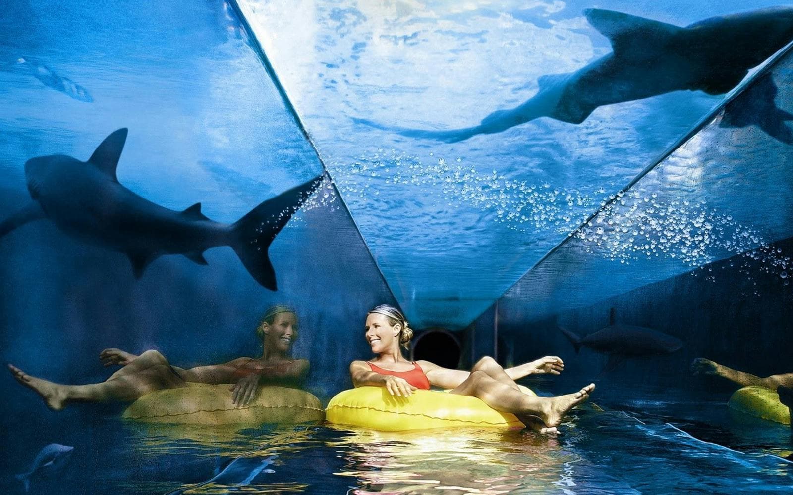 Billets pour le parc aquatique Atlantis Aquaventure - image 2