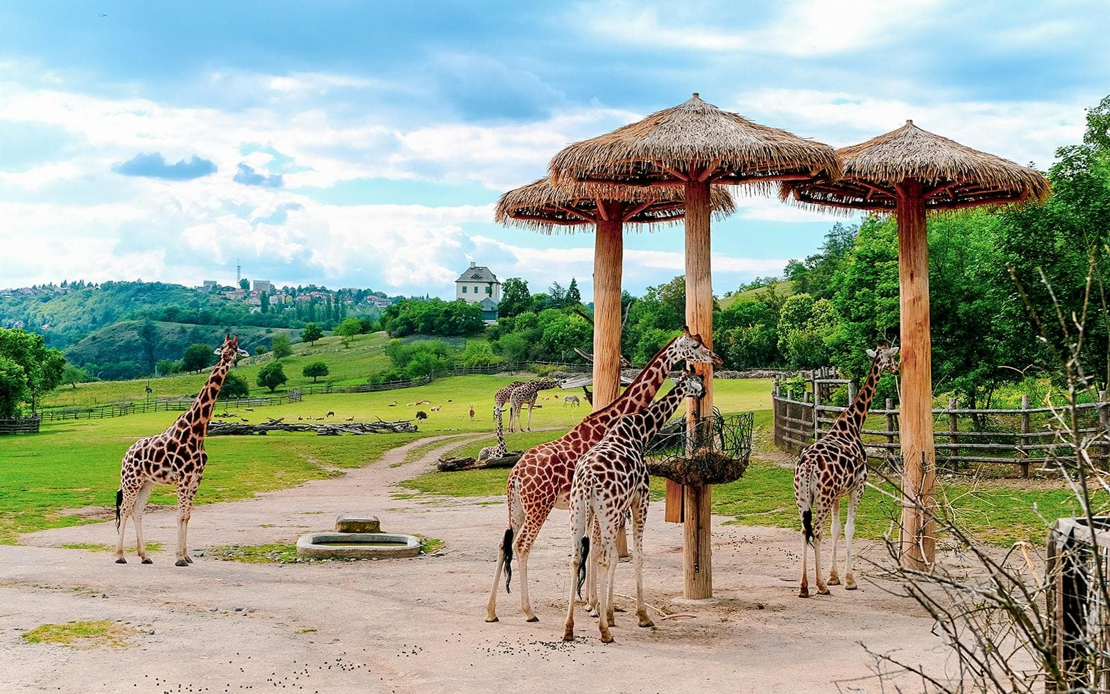 Billets pour le zoo de Prague - image 3