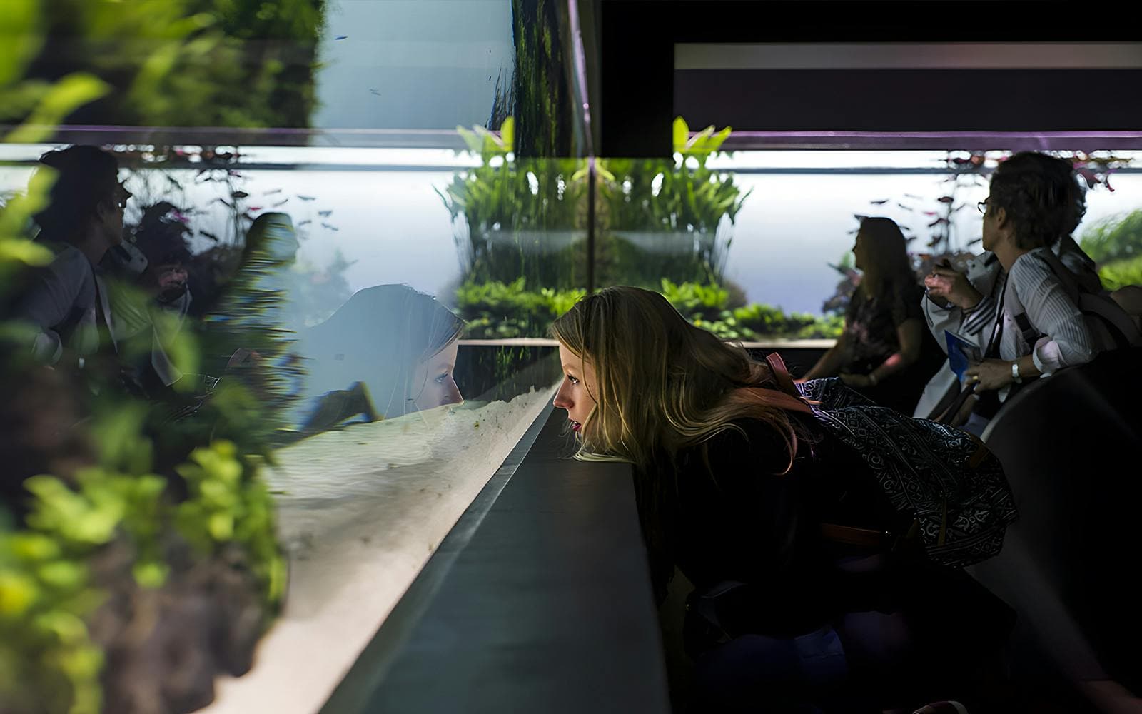 Billets pour l'Oceanário de Lisboa - image 6