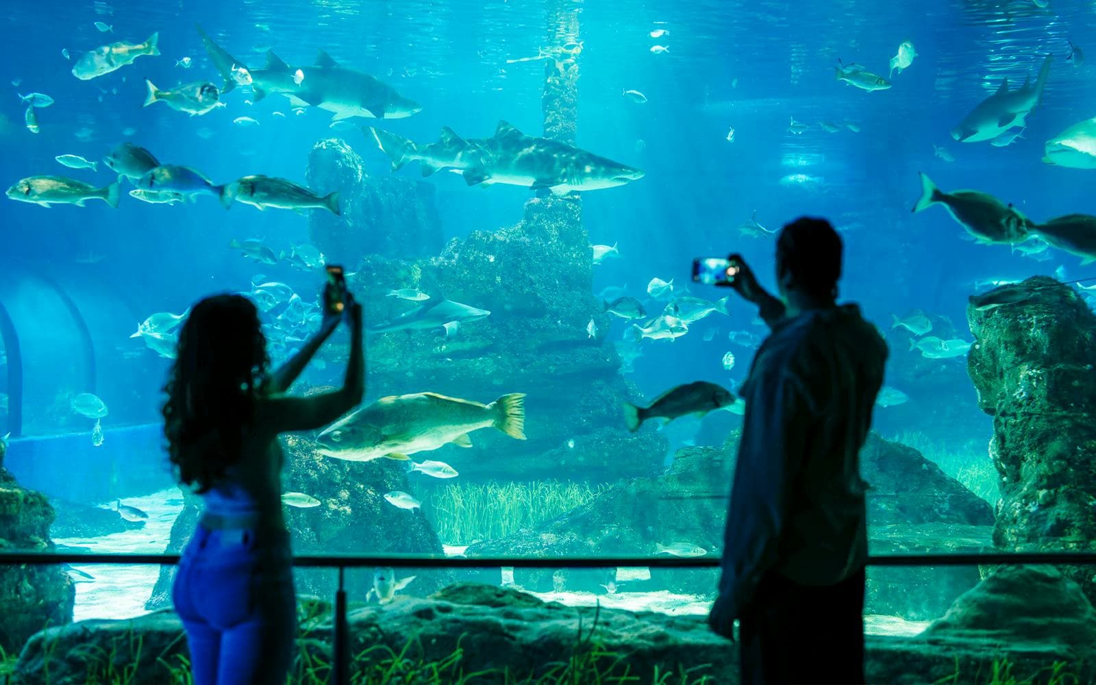 Billets coupe-file pour l'Aquarium de Barcelone - image 2
