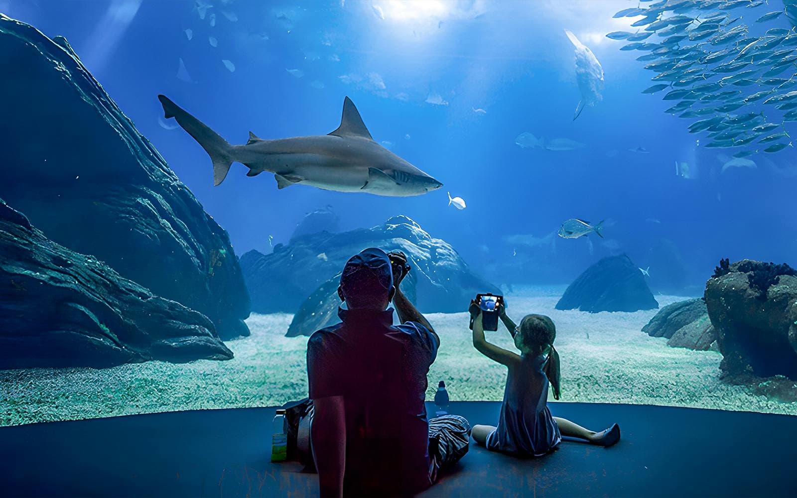 Billets pour l'Oceanário de Lisboa - image 2