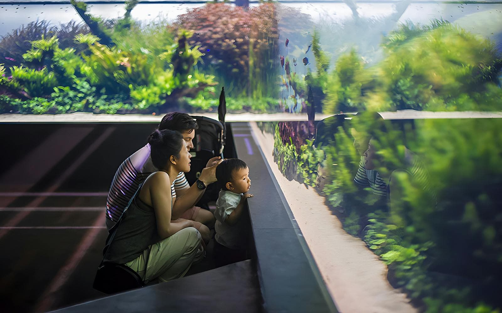 Billets pour l'Oceanário de Lisboa