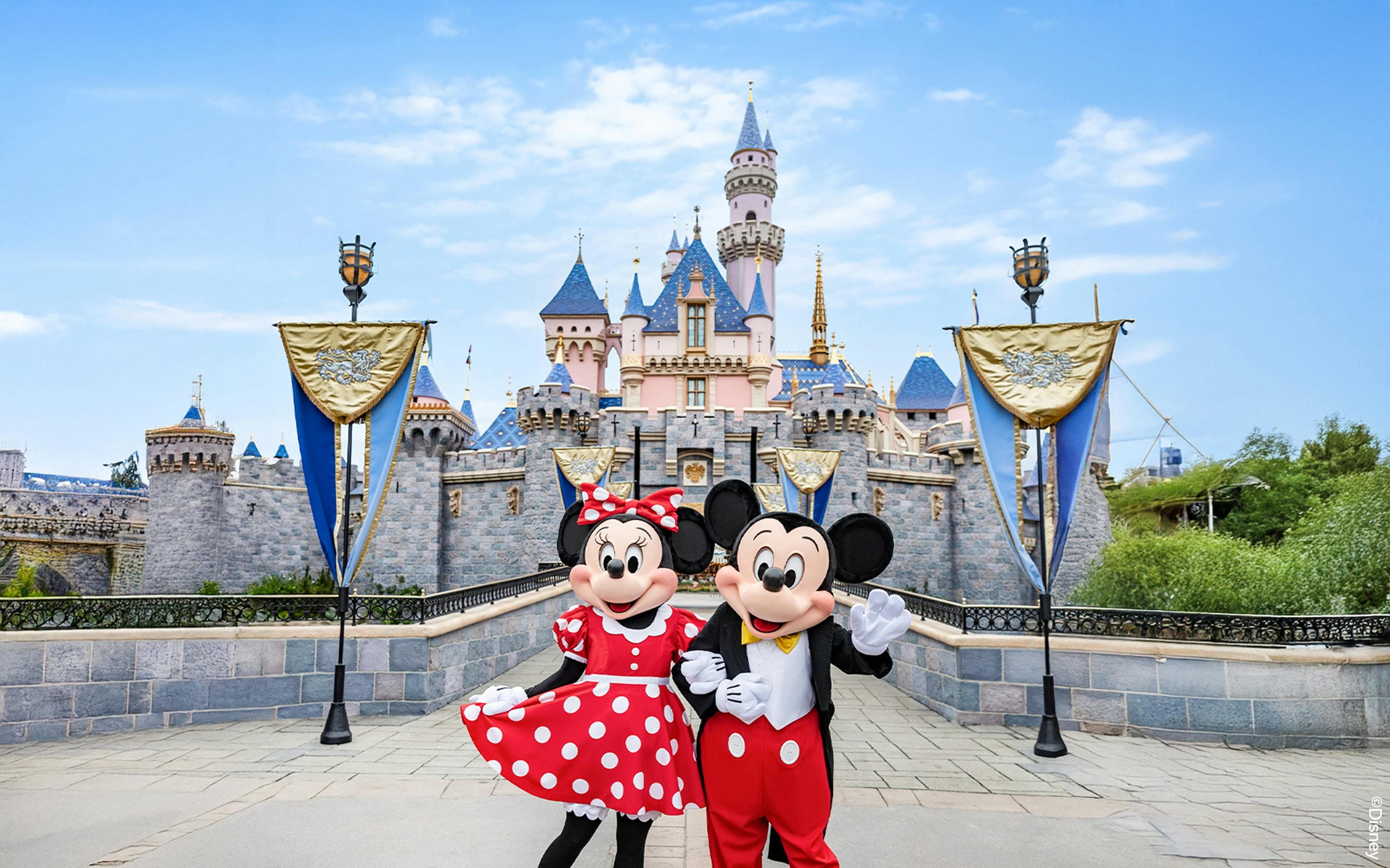 Billets 1 jour pour Disneyland Californie