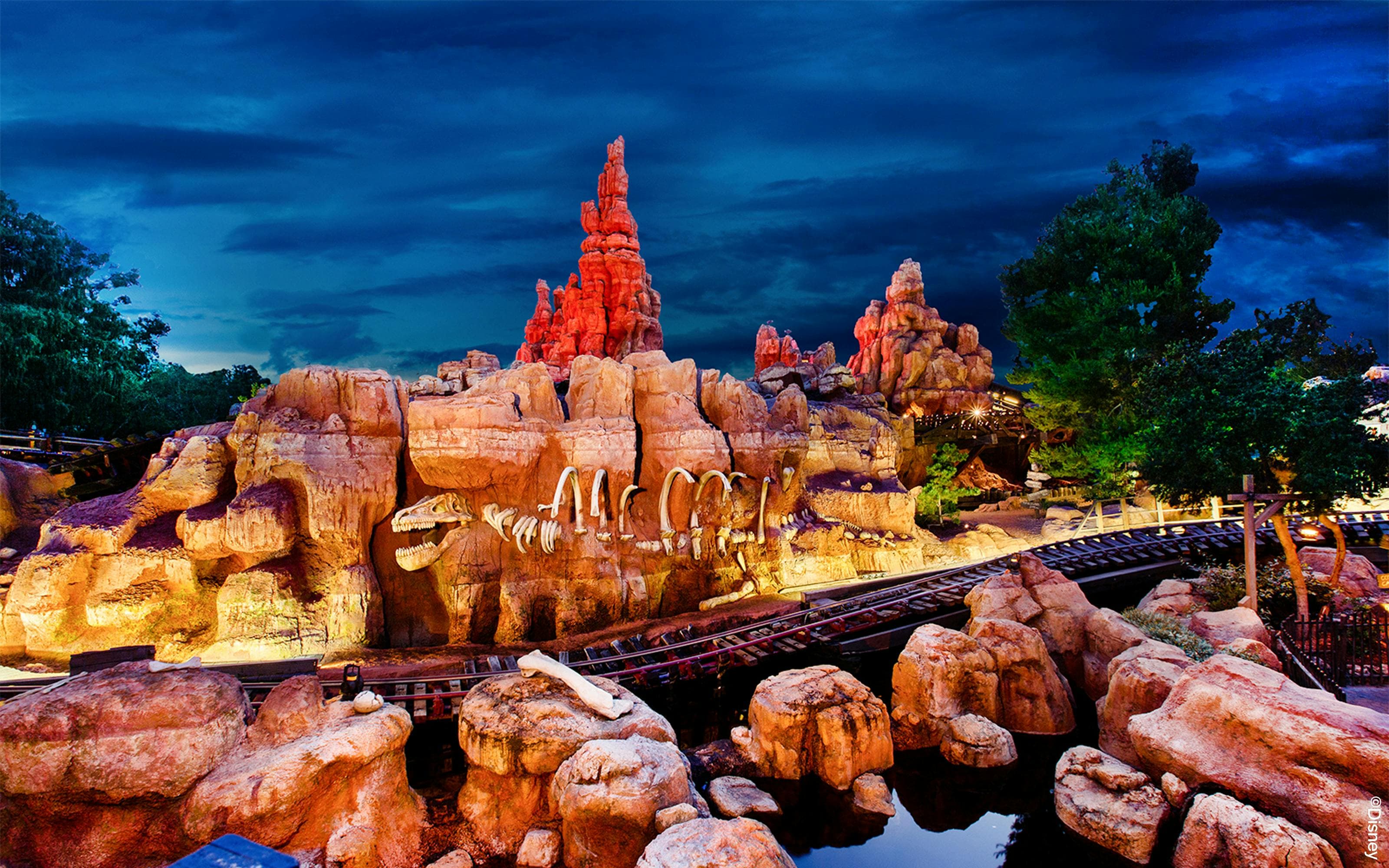 Billets 1 jour pour Disneyland Californie - image 5