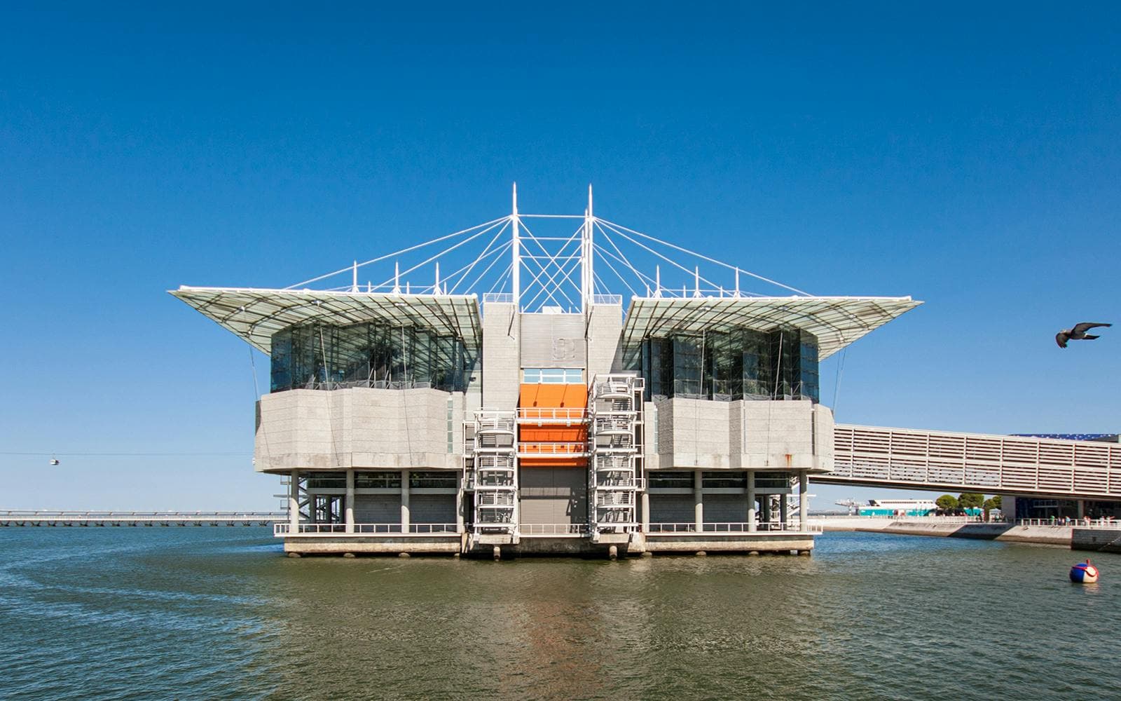 Billets pour l'Oceanário de Lisboa - image 5