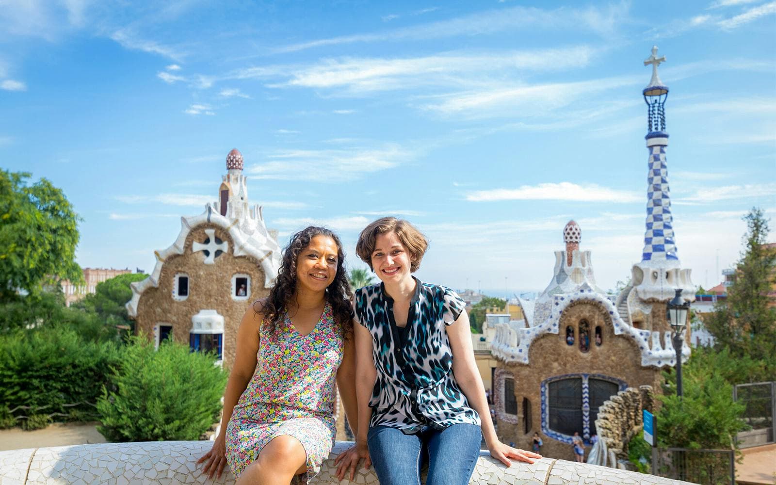 Visite guidée coupe-file du Parc Güell - image 10