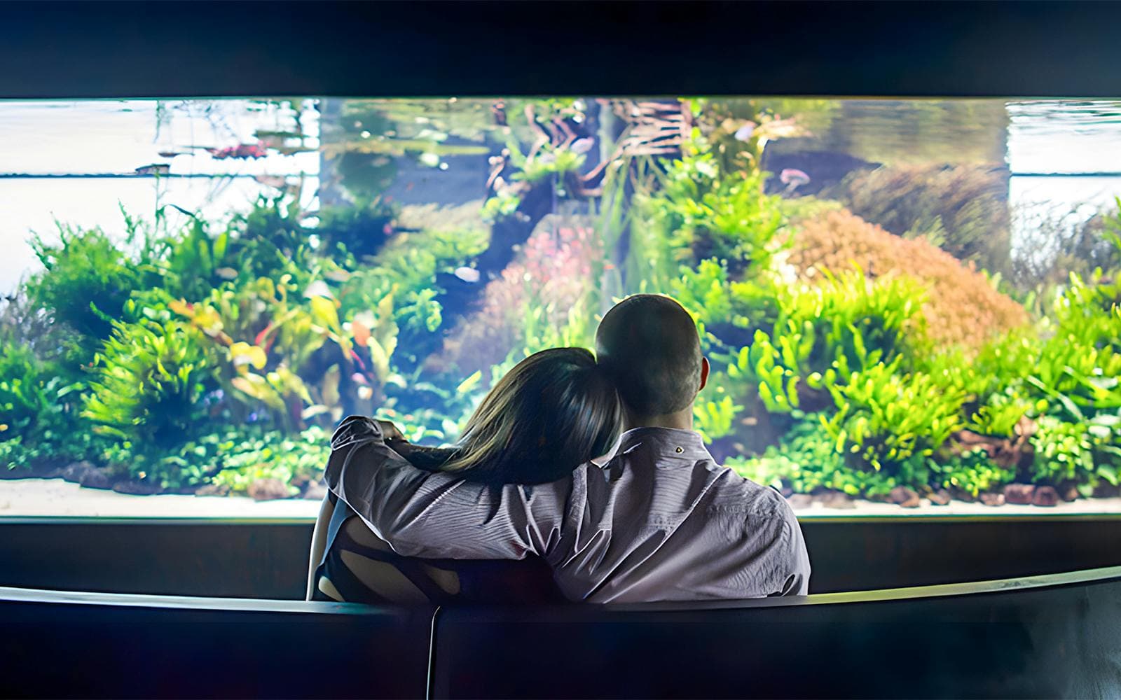 Billets pour l'Oceanário de Lisboa - image 3