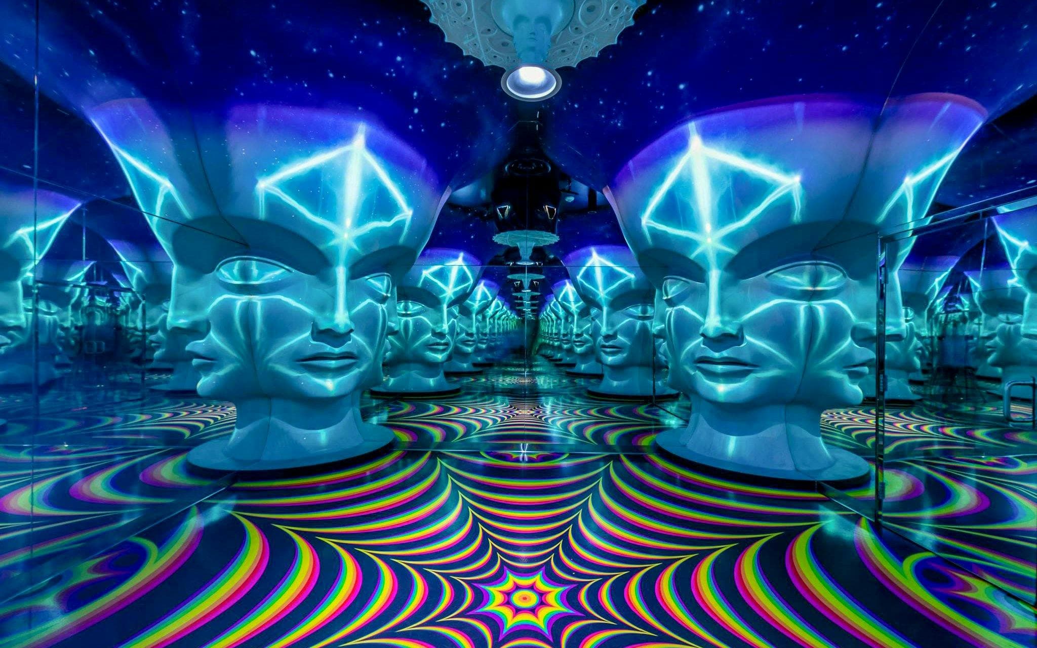 Billet d'admission pour l'Omega Mart de Meow Wolf - image 10