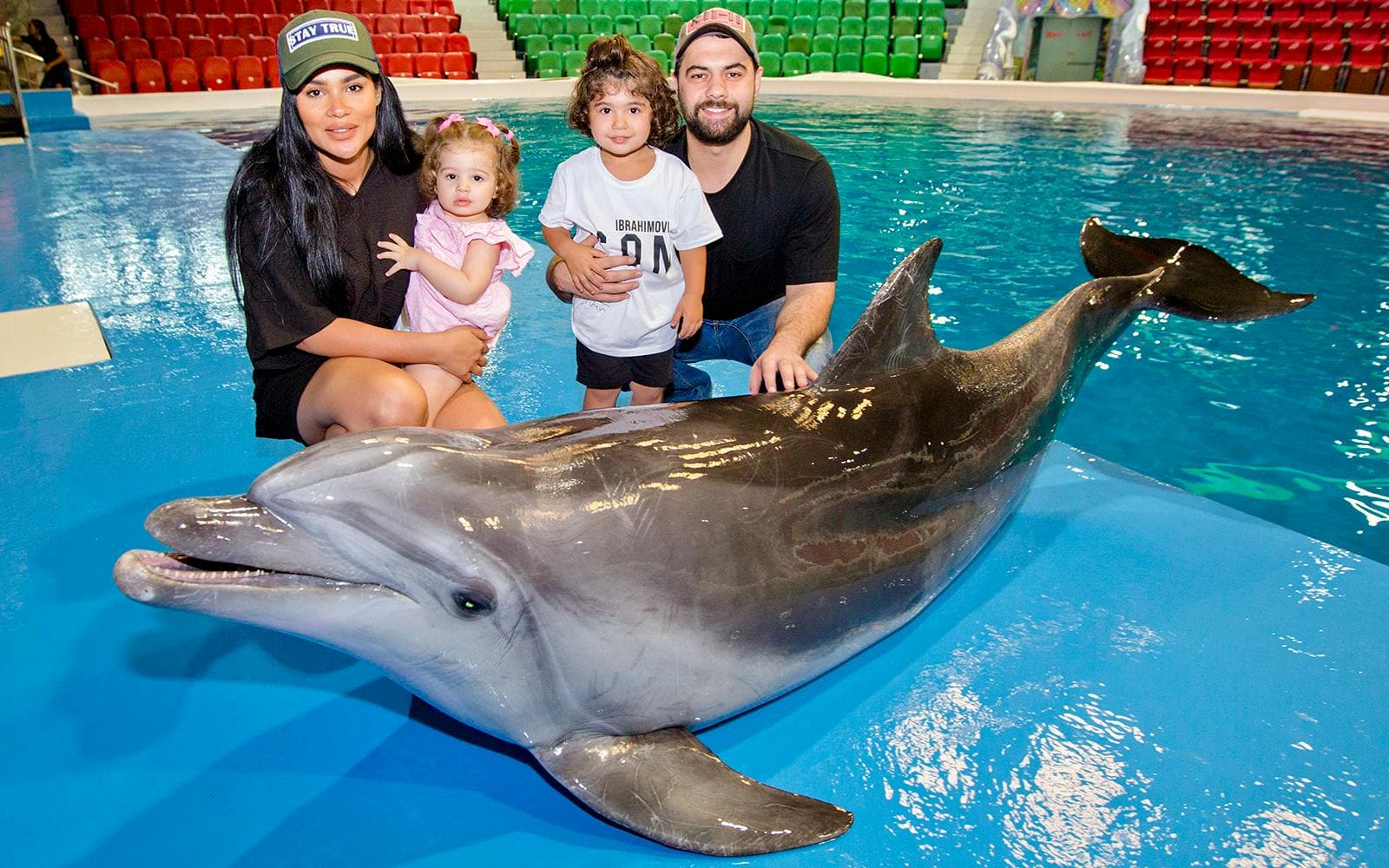 Delphinarium de Dubaï : billets pour le spectacle de dauphins et de phoques - image 3