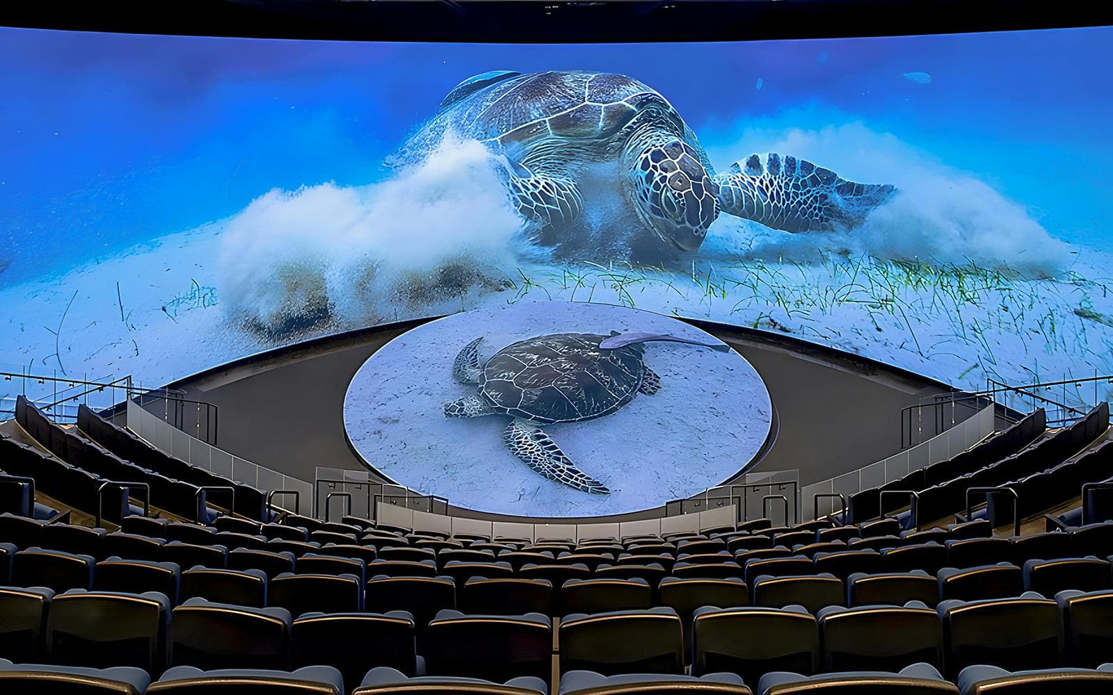 Billets coupe-file pour l'Aquarium of the Pacific - image 10