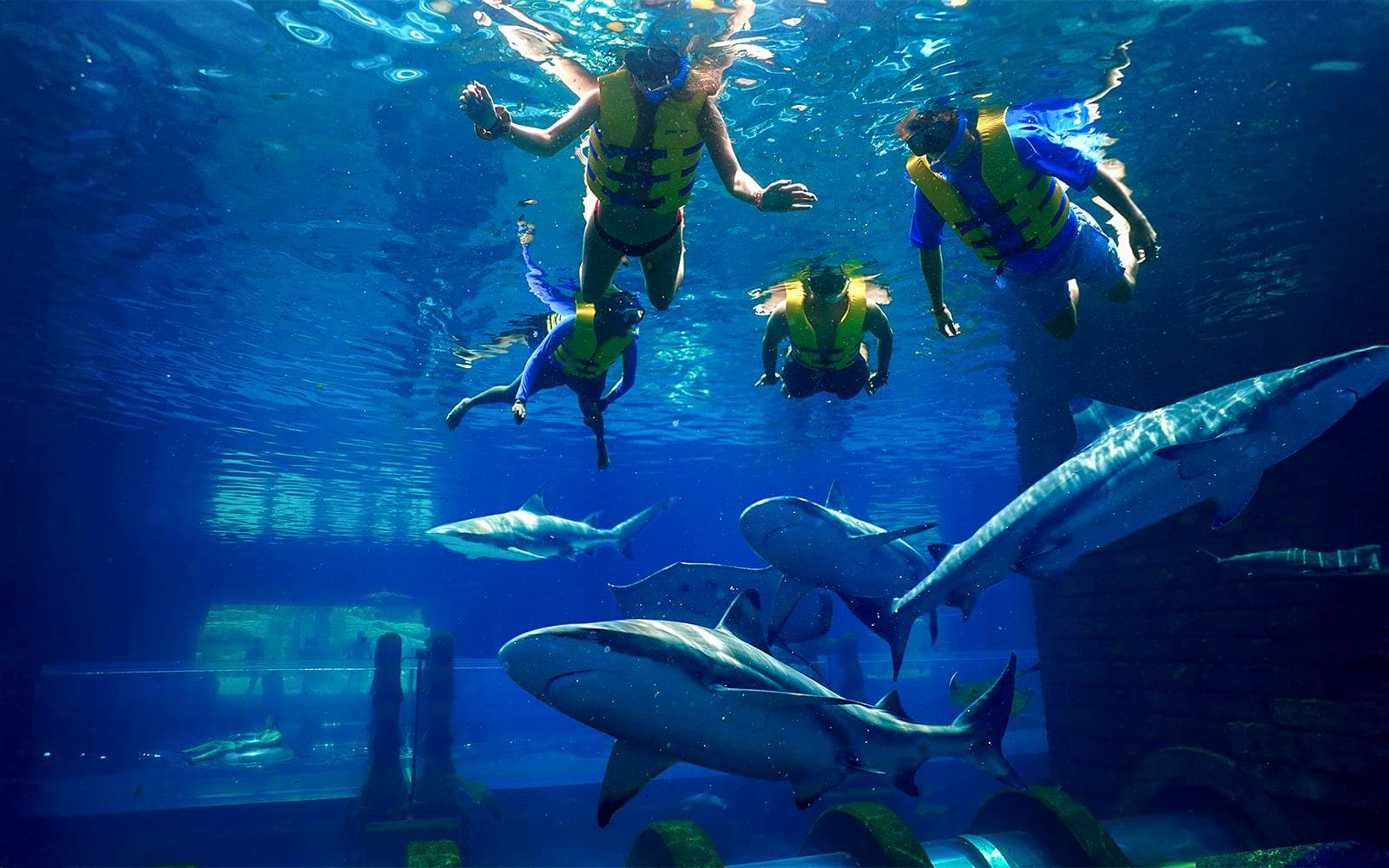 Billets pour le parc aquatique Atlantis Aquaventure - image 9
