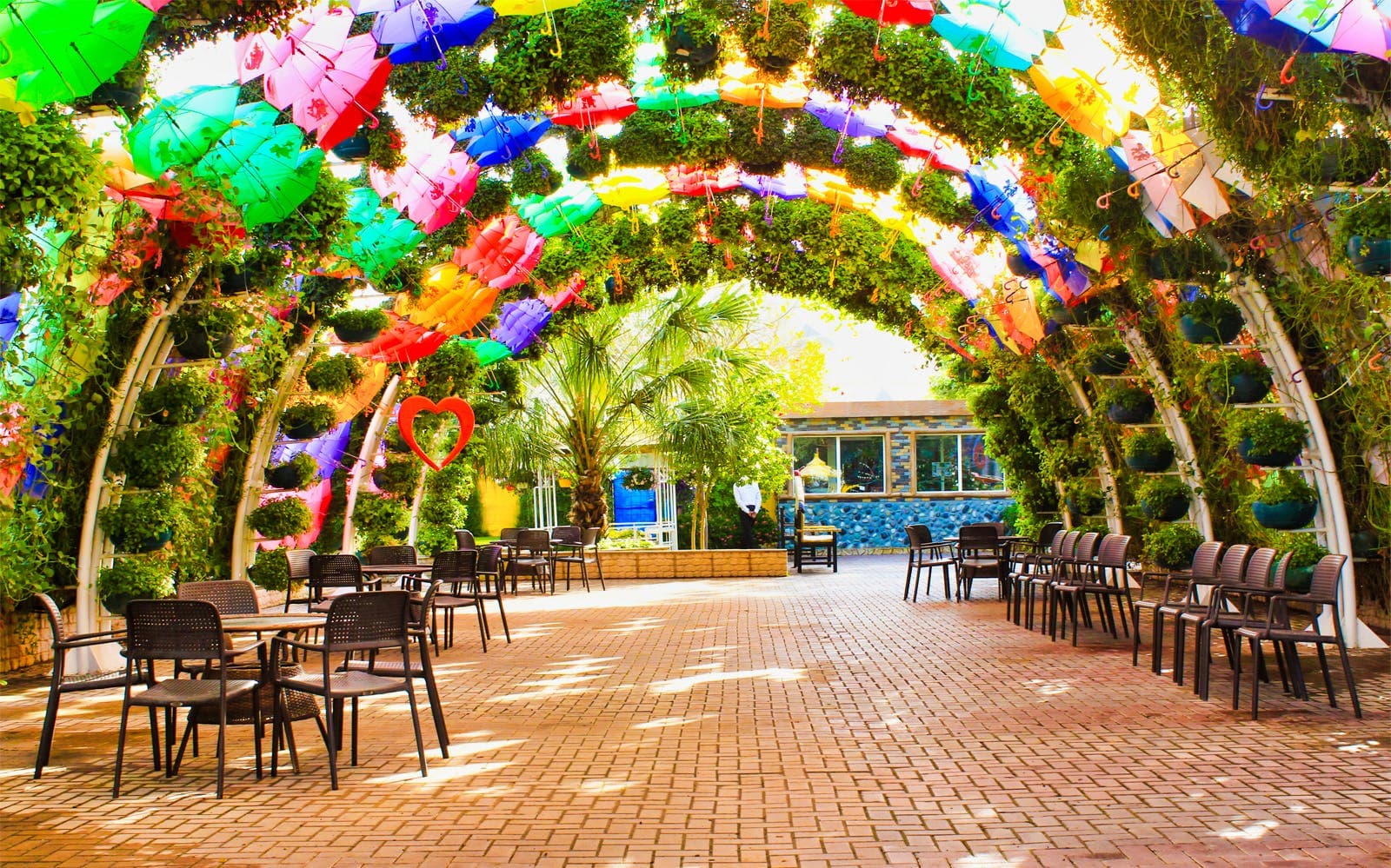 Billets coupe-file pour le Dubai Butterfly Garden - image 6