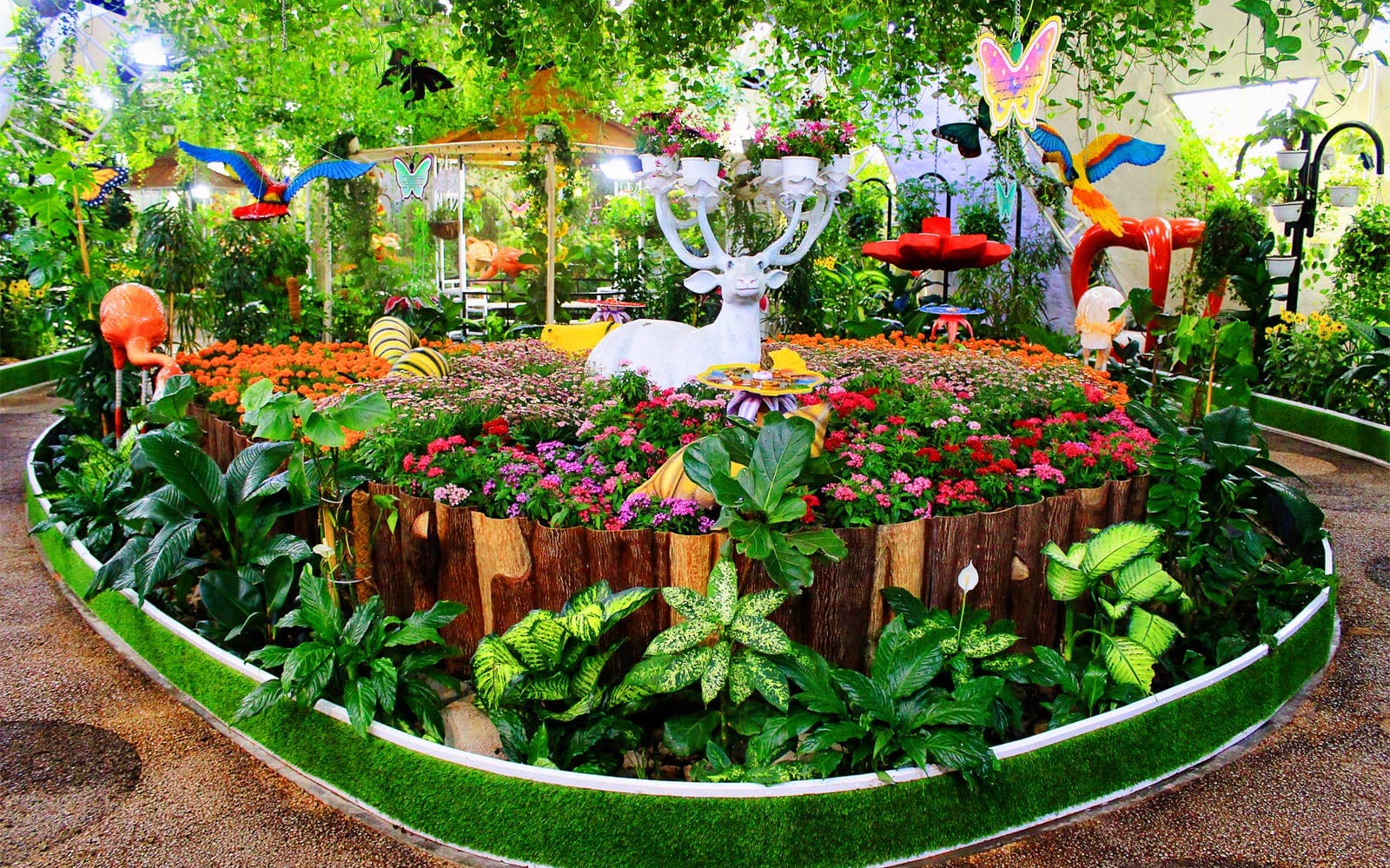 Billets coupe-file pour le Dubai Butterfly Garden - image 2