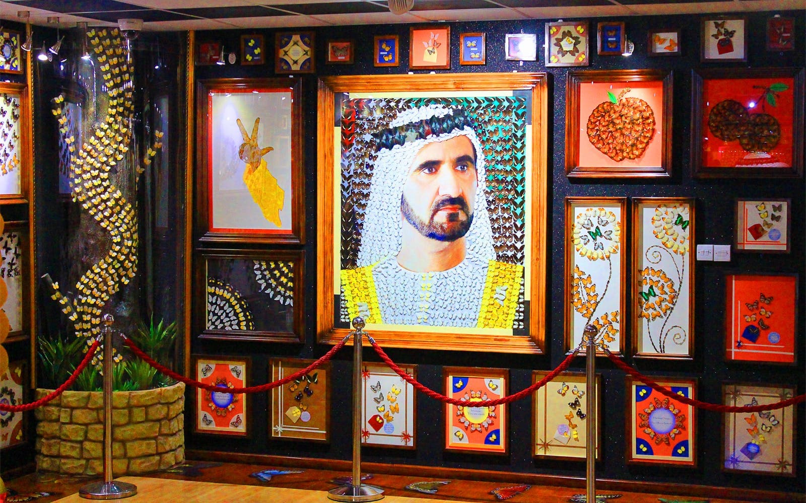 Billets coupe-file pour le Dubai Butterfly Garden - image 8